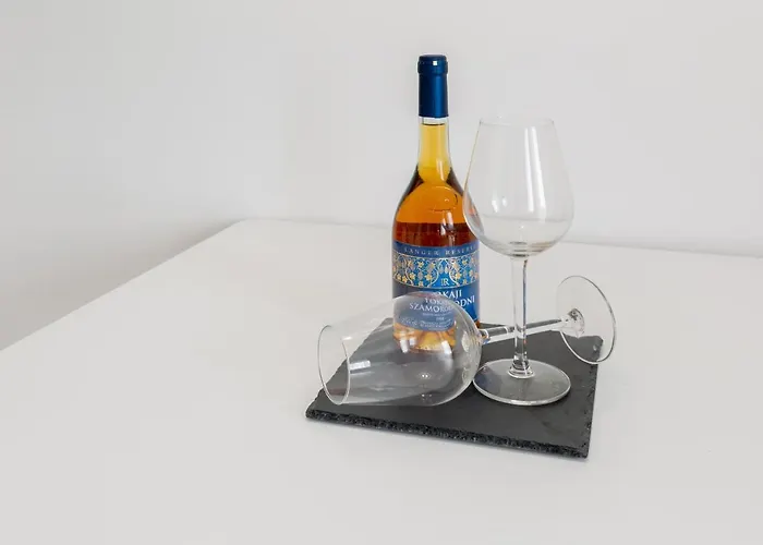 Downtown Residences Leo - Ac, Elevator, Terrace Διαμέρισμα Βουδαπέστη