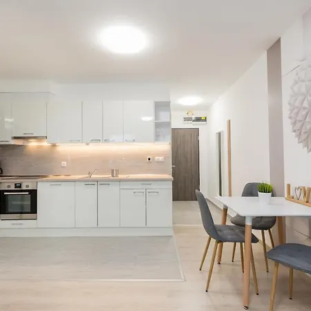 Downtown Residences Leo - Ac, Elevator, Terrace *